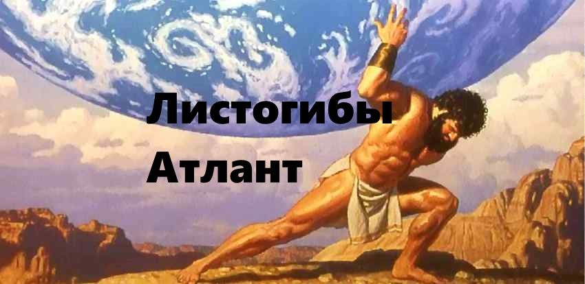 Выдержка, стойкость, надежность.