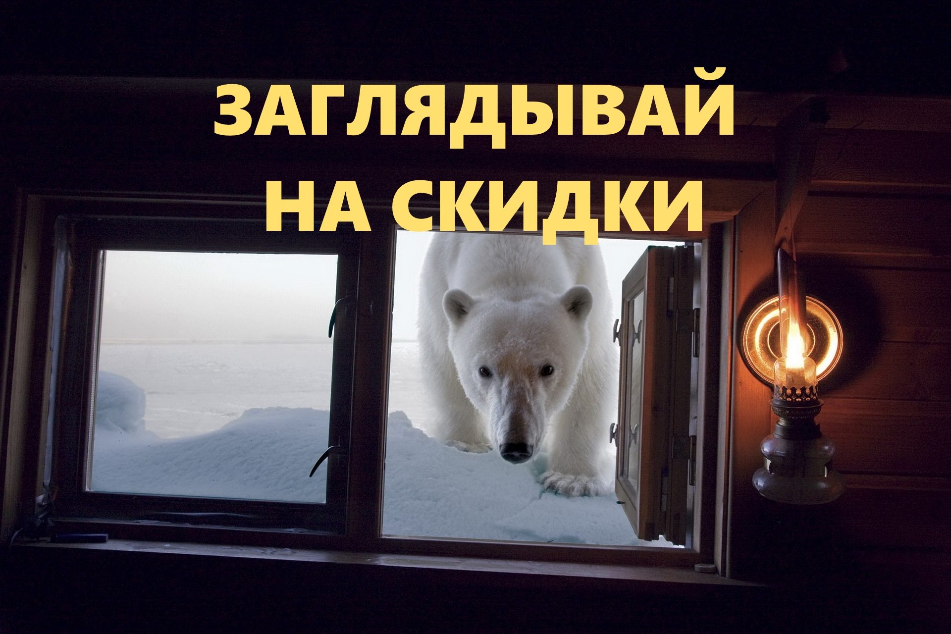 Заглядывай на скидки Warrior и JIB!