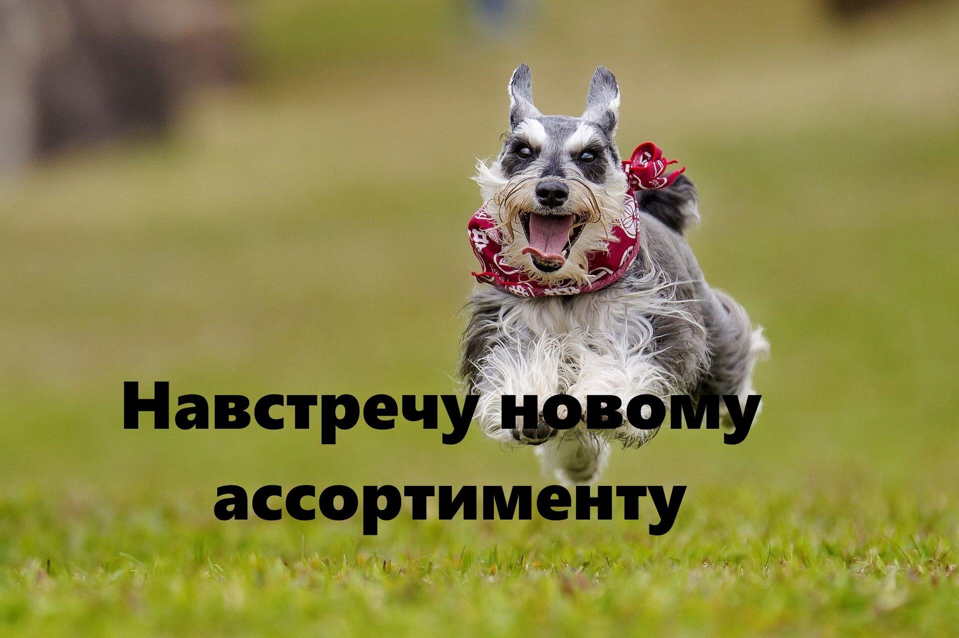 Большой выбор от Dali compressors Большой выбор от Dali compressors